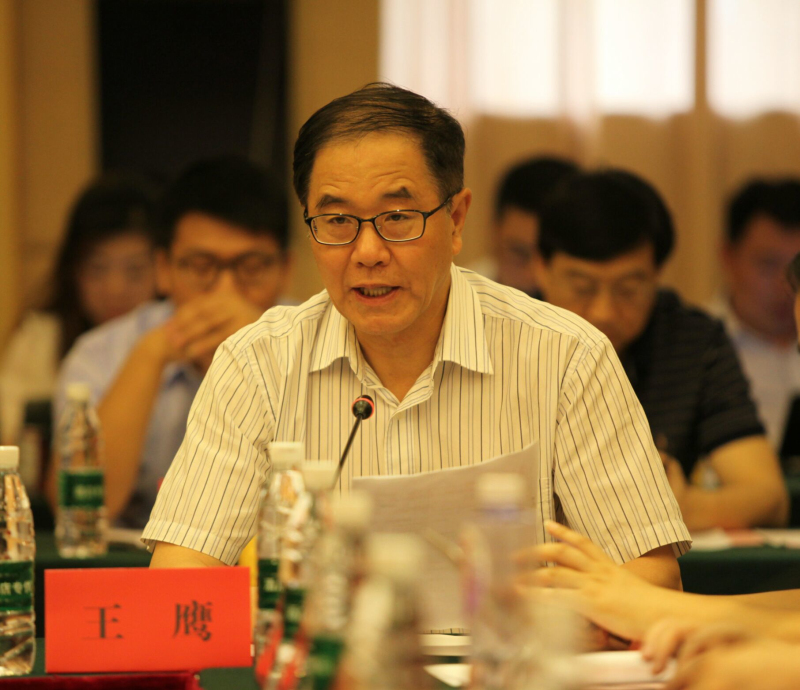 王鹰秘书长宣读物联网专业委员会成立决定主任委员和副主任委员给秘书